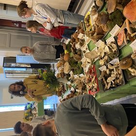 IMG_7204.JPG
